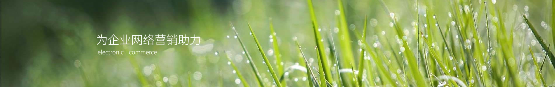 ˲¡ֹ޹˾